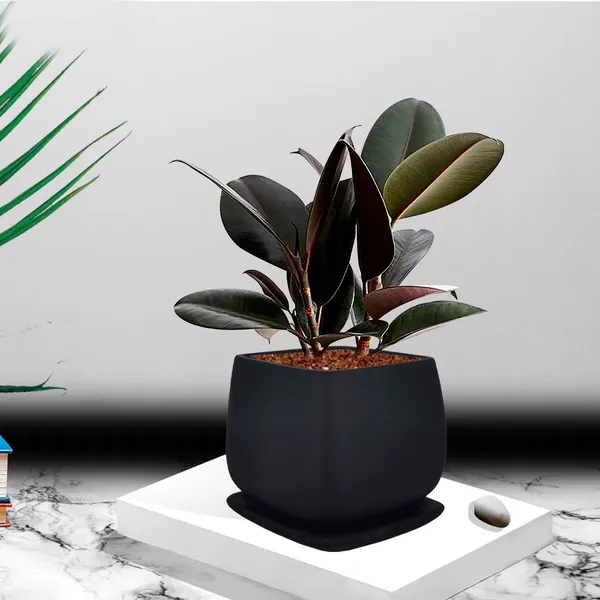 Pearl_Medium_Black_With_Plate_Ceramic_Pots_For_Indoor_Plants,Planters,Gamla,Outdoor,Balcony,Home,Square,Garden,Office_Decor,Succulent(L-15_X_W-15_X_H-13.5_Cm)