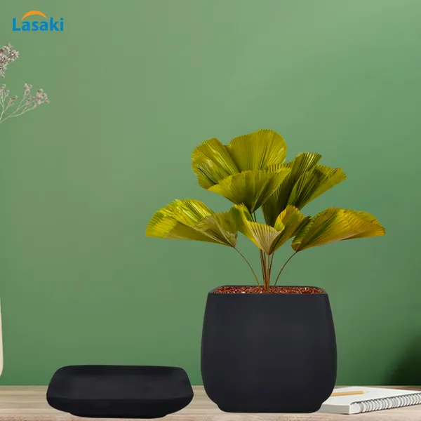 Pearl_Medium_Black_With_Plate_Ceramic_Pots_For_Indoor_Plants,Planters,Gamla,Outdoor,Balcony,Home,Square,Garden,Office_Decor,Succulent(L-15_X_W-15_X_H-13.5_Cm)