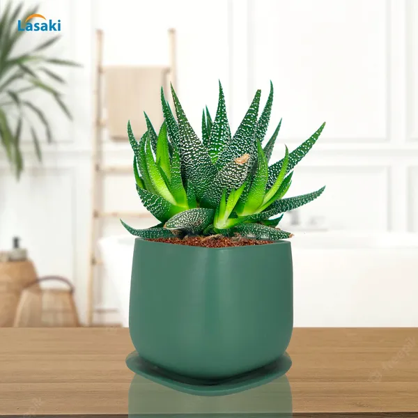 Pearl_Medium_Deep_Jungle_With_Plate_Ceramic_Pots_For_Indoor_Plants,Planters,Gamla,Outdoor,Balcony,Home,Square,Garden,Office_Decor,Succulent(L-15_X_W-15_X_H-13.5_Cm)