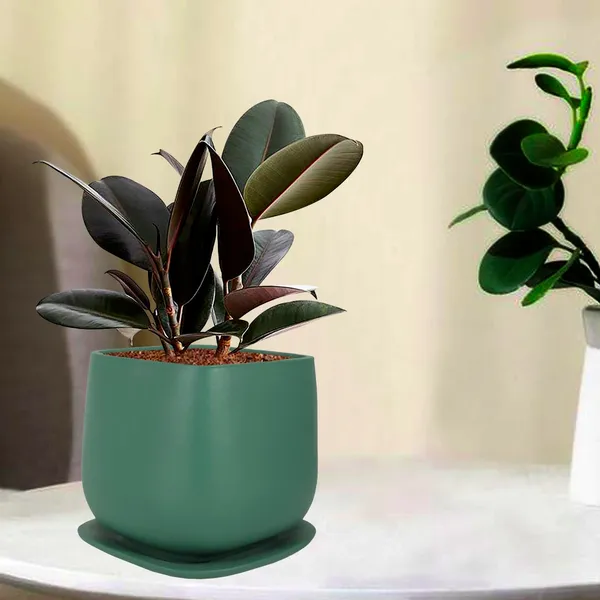 Pearl_Medium_Deep_Jungle_With_Plate_Ceramic_Pots_For_Indoor_Plants,Planters,Gamla,Outdoor,Balcony,Home,Square,Garden,Office_Decor,Succulent(L-15_X_W-15_X_H-13.5_Cm)