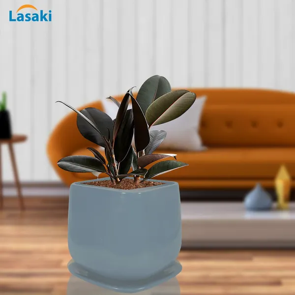 Pearl_Medium_Grey_With_Plate_Ceramic_Pots_For_Indoor_Plants,Planters,Gamla,Outdoor,Balcony,Home,Square,Garden,Office_Decor,Succulent(L-15_X_W-15_X_H-13.5_Cm)