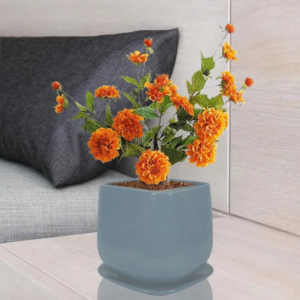 Pearl_Medium_Grey_With_Plate_Ceramic_Pots_For_Indoor_Plants,Planters,Gamla,Outdoor,Balcony,Home,Square,Garden,Office_Decor,Succulent(L-15_X_W-15_X_H-13.5_Cm)