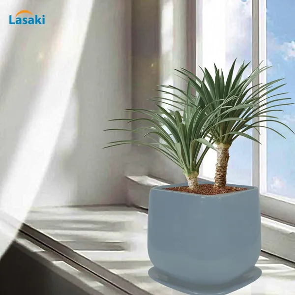 Pearl_Medium_Grey_With_Plate_Ceramic_Pots_For_Indoor_Plants,Planters,Gamla,Outdoor,Balcony,Home,Square,Garden,Office_Decor,Succulent(L-15_X_W-15_X_H-13.5_Cm)