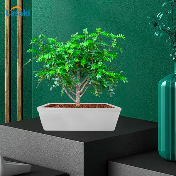 Square_Downey_Big_White_Ceramic_Pots_For_Indoor_Plants,Planters,Gamla,Outdoor,Balcony,Home,Square,Garden,Office_Decor,Succulent(L-24_X_W-24_X_H-7_Cm)