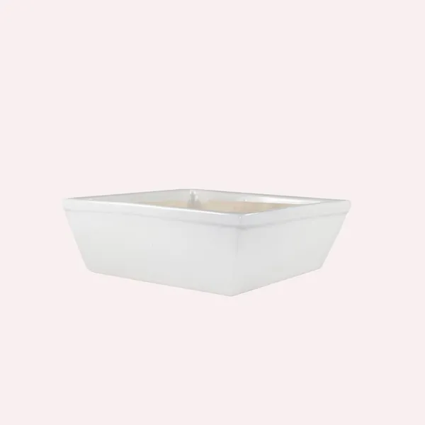 Square_Downey_Big_White_Ceramic_Pots_For_Indoor_Plants,Planters,Gamla,Outdoor,Balcony,Home,Square,Garden,Office_Decor,Succulent(L-24_X_W-24_X_H-7_Cm)