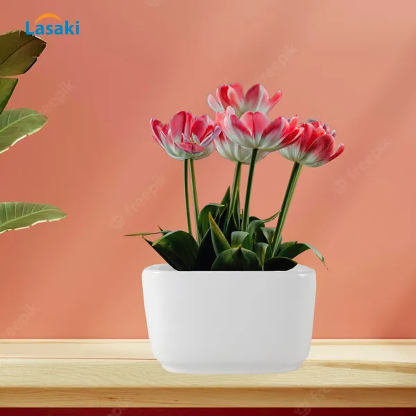 Square_Menon_Big_White_Ceramic_Pots_For_Indoor_Plants,Planters,Gamla,Outdoor,Balcony,Home,Square,Garden,Office_Decor,Succulent(L-16_X_W-16_X_H-9.5_Cm)