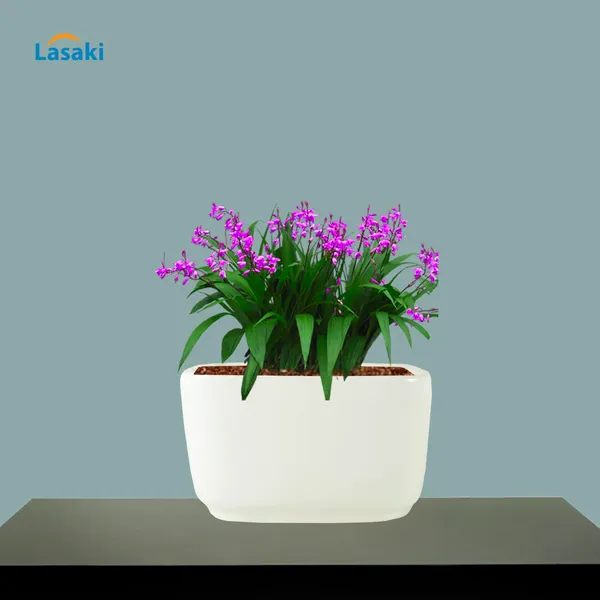 Square_Menon_Big_White_Ceramic_Pots_For_Indoor_Plants,Planters,Gamla,Outdoor,Balcony,Home,Square,Garden,Office_Decor,Succulent(L-16_X_W-16_X_H-9.5_Cm)