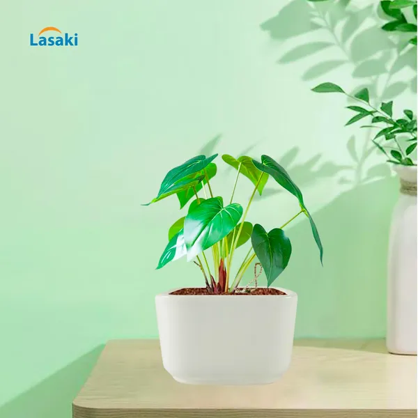 Square_Menon_Medium_White_Ceramic_Pots_For_Indoor_Plants,Planters,Gamla,Outdoor,Balcony,Home,Square,Garden,Office_Decor,Succulent(L-12_X_W-12_X_H-7.5_Cm)