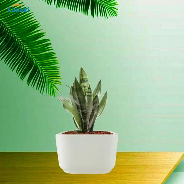 Square_Menon_Medium_White_Ceramic_Pots_For_Indoor_Plants,Planters,Gamla,Outdoor,Balcony,Home,Square,Garden,Office_Decor,Succulent(L-12_X_W-12_X_H-7.5_Cm)