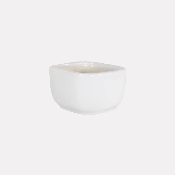 Square_Menon_Small_White_Ceramic_Pots_For_Indoor_Plants,Planters,Gamla,Outdoor,Balcony,Home,Square,Garden,Office_Decor,Succulent(L-9_X_W-9_X_H-6_Cm)