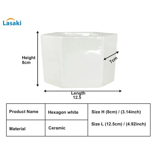 Hexagon_White_Ceramic_Pots_For_Indoor_Plants,Planters,Gamla,Outdoor,Balcony,Home,Square,Garden,Office_Decor,Succulent(L-12.5_X_W-12.5_X_H-8_Cm)