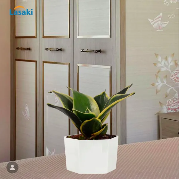 Hexagon_White_Ceramic_Pots_For_Indoor_Plants,Planters,Gamla,Outdoor,Balcony,Home,Square,Garden,Office_Decor,Succulent(L-12.5_X_W-12.5_X_H-8_Cm)