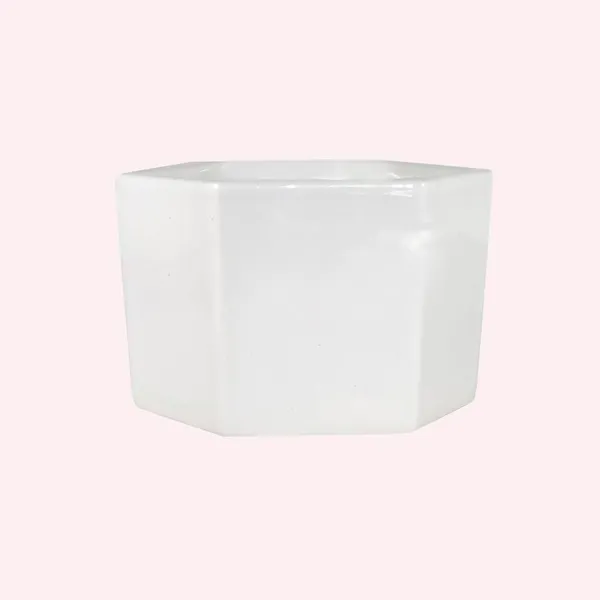 Hexagon_White_Ceramic_Pots_For_Indoor_Plants,Planters,Gamla,Outdoor,Balcony,Home,Square,Garden,Office_Decor,Succulent(L-12.5_X_W-12.5_X_H-8_Cm)