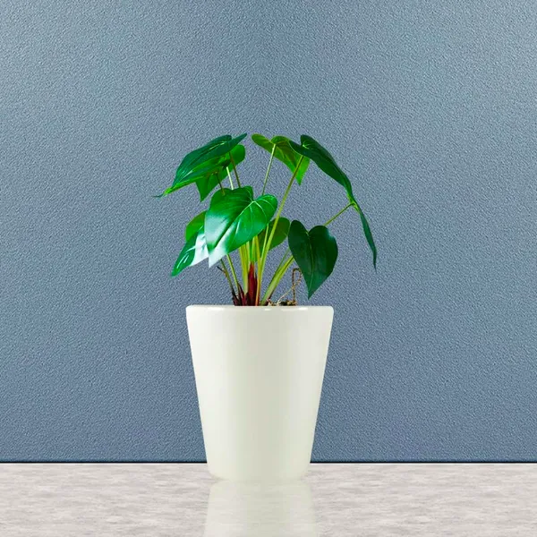 Glass_White_Ceramic_Pots_For_Indoor_Plants,_Planters,Gamla,Outdoor,Balcony,Home,Round,Garden,_Office_Decor,Succulent(H_-_12.5_X_D_-_11.5_Cm)
