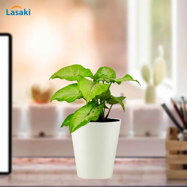 Glass_White_Ceramic_Pots_For_Indoor_Plants,_Planters,Gamla,Outdoor,Balcony,Home,Round,Garden,_Office_Decor,Succulent(H_-_12.5_X_D_-_11.5_Cm)