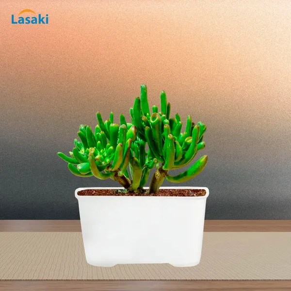 Tub_Big_White_Ceramic_Pots_For_Indoor_Plants,Planters,Gamla,Outdoor,Balcony,Home,Rectangle,Garden,Office_Decor,Succulent(L-19_X_W-13_X_H-11_Cm)