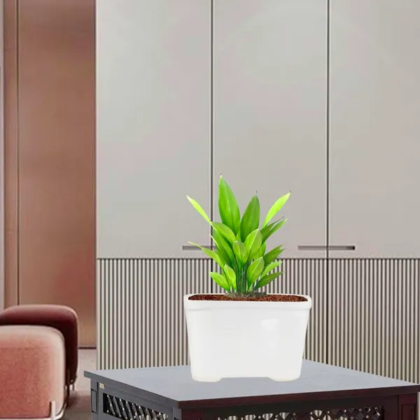 Tub_Small_White_Ceramic_Pots_For_Indoor_Plants,Planters,Gamla,Outdoor,Balcony,Home,Rectangle,Garden,Office_Decor,Succulent(L-15_X_W-9.5_X_H-9.5_Cm)