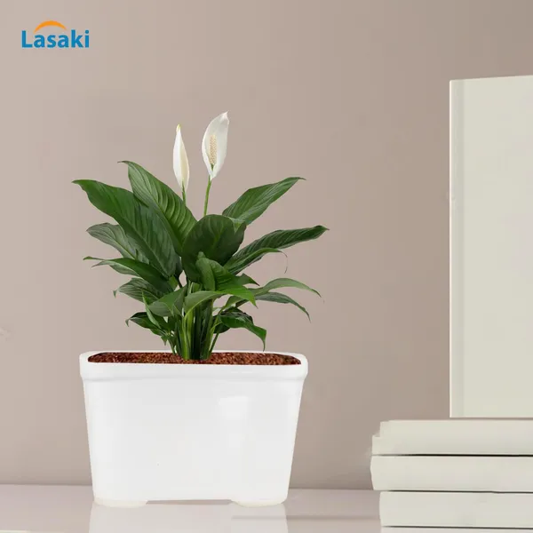 Tub_Small_White_Ceramic_Pots_For_Indoor_Plants,Planters,Gamla,Outdoor,Balcony,Home,Rectangle,Garden,Office_Decor,Succulent(L-15_X_W-9.5_X_H-9.5_Cm)