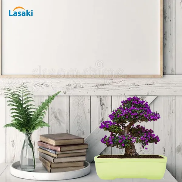 Rectangle_Mint_Rec003_Ceramic_Pots_For_Indoor_Plants,Bonsai,Planters,Gamla,Outdoor,Balcony,Home,Garden,Office_Decor,Succulent(L_-_20_X_W_-_13_X_H_-_6.5_Cm)