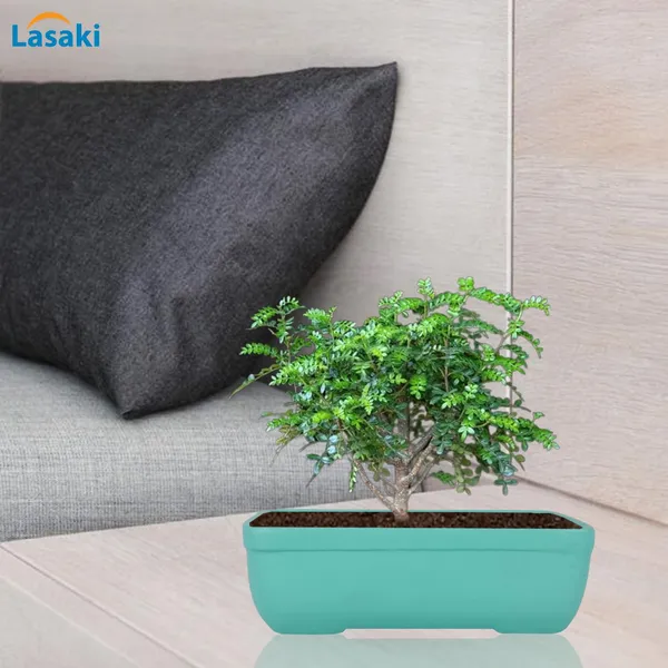 Rectangle_Aqua_Rec003_Ceramic_Pots_For_Indoor_Plants,Bonsai,Planters,Gamla,Outdoor,Balcony,Home,Garden,Office_Decor,Succulent(L_-_20_X_W_-_13_X_H_-_6.5_Cm)
