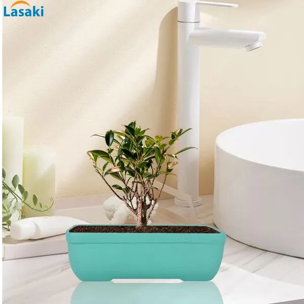 Rectangle_Aqua_Rec003_Ceramic_Pots_For_Indoor_Plants,Bonsai,Planters,Gamla,Outdoor,Balcony,Home,Garden,Office_Decor,Succulent(L_-_20_X_W_-_13_X_H_-_6.5_Cm)