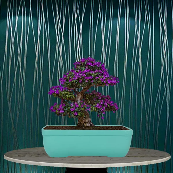 Rectangle_Aqua_Rec003_Ceramic_Pots_For_Indoor_Plants,Bonsai,Planters,Gamla,Outdoor,Balcony,Home,Garden,Office_Decor,Succulent(L_-_20_X_W_-_13_X_H_-_6.5_Cm)