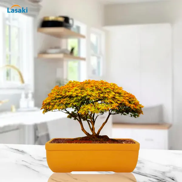 Rectangle_Lily_Rec003_Ceramic_Pots_For_Indoor_Plants,Bonsai,Planters,Gamla,Outdoor,Balcony,Home,Garden,Office_Decor,Succulent(L_-_20_X_W_-_13_X_H_-_6.5_Cm)