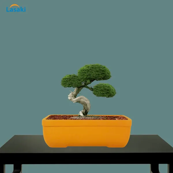 Rectangle_Lily_Rec003_Ceramic_Pots_For_Indoor_Plants,Bonsai,Planters,Gamla,Outdoor,Balcony,Home,Garden,Office_Decor,Succulent(L_-_20_X_W_-_13_X_H_-_6.5_Cm)