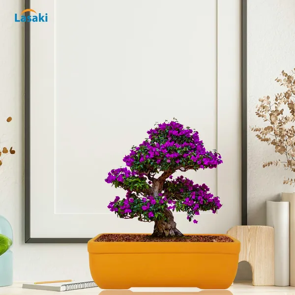 Rectangle_Lily_Rec003_Ceramic_Pots_For_Indoor_Plants,Bonsai,Planters,Gamla,Outdoor,Balcony,Home,Garden,Office_Decor,Succulent(L_-_20_X_W_-_13_X_H_-_6.5_Cm)
