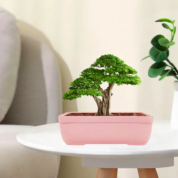 Rectangle_Pink_Rec003_Ceramic_Pots_For_Indoor_Plants,Bonsai,Planters,Gamla,Outdoor,Balcony,Home,Garden,Office_Decor,Succulent(L_-_20_X_W_-_13_X_H_-_6.5_Cm)