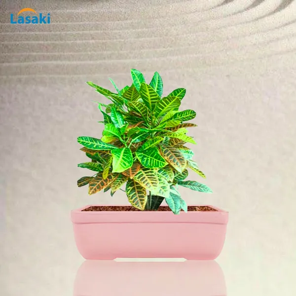 Rectangle_Pink_Rec003_Ceramic_Pots_For_Indoor_Plants,Bonsai,Planters,Gamla,Outdoor,Balcony,Home,Garden,Office_Decor,Succulent(L_-_20_X_W_-_13_X_H_-_6.5_Cm)