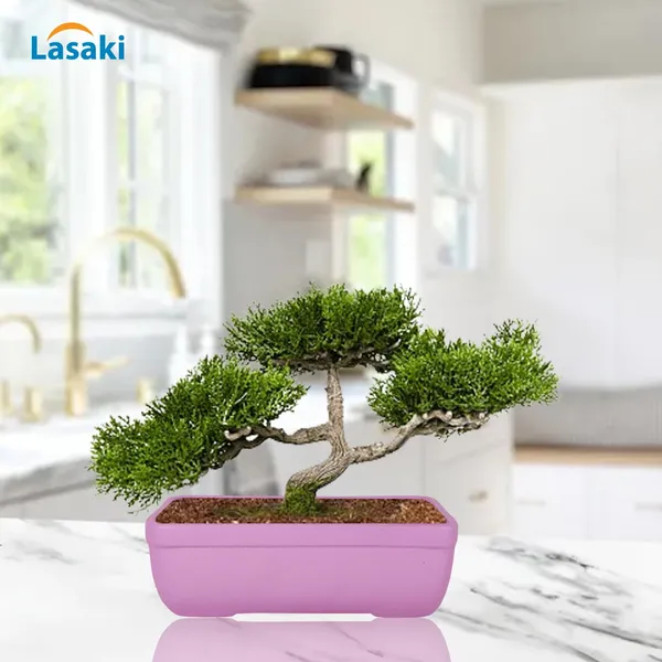 Rectangle_Purple_Rec003_Ceramic_Pots_For_Indoor_Plants,Bonsai,Planters,Gamla,Outdoor,Balcony,Home,Garden,Office_Decor,Succulent(L_-_20_X_W_-_13_X_H_-_6.5_Cm)