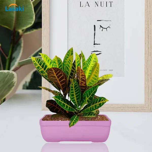 Rectangle_Purple_Rec003_Ceramic_Pots_For_Indoor_Plants,Bonsai,Planters,Gamla,Outdoor,Balcony,Home,Garden,Office_Decor,Succulent(L_-_20_X_W_-_13_X_H_-_6.5_Cm)