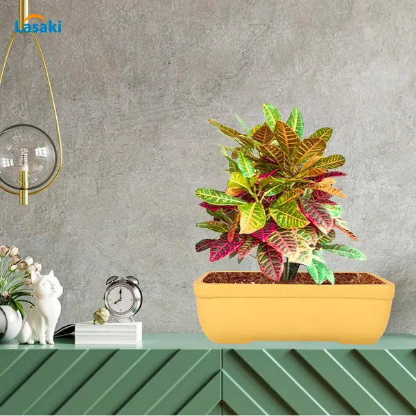 Rectangle_Saffron_Rec003_Ceramic_Pots_For_Indoor_Plants,Bonsai,Planters,Gamla,Outdoor,Balcony,Home,Garden,Office_Decor,Succulent(L_-_20_X_W_-_13_X_H_-_6.5_Cm)