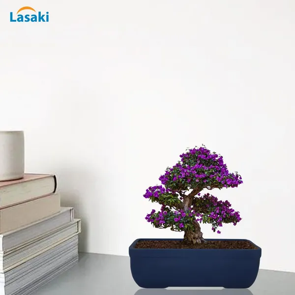 Rectangle_Blue_Rec003_Ceramic_Pots_For_Indoor_Plants,Bonsai,Planters,Gamla,Outdoor,Balcony,Home,Garden,Office_Decor,Succulent(L_-_20_X_W_-_13_X_H_-_6.5_Cm)