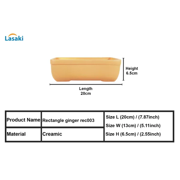 Rectangle_Ginger_Rec003_Ceramic_Pots_For_Indoor_Plants,Bonsai,Planters,Gamla,Outdoor,Balcony,Home,Garden,Office_Decor,Succulent(L_-_20_X_W_-_13_X_H_-_6.5_Cm)