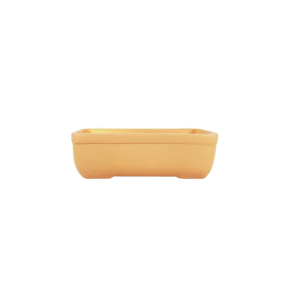 Rectangle_Ginger_Rec003_Ceramic_Pots_For_Indoor_Plants,Bonsai,Planters,Gamla,Outdoor,Balcony,Home,Garden,Office_Decor,Succulent(L_-_20_X_W_-_13_X_H_-_6.5_Cm)