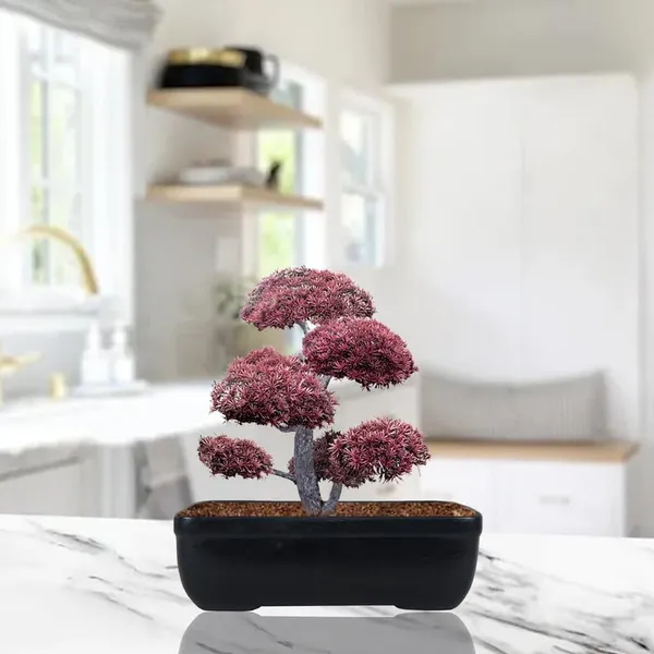 Rectangle_Black_Rec003_Ceramic_Pots_For_Indoor_Plants,Bonsai,Planters,Gamla,Outdoor,Balcony,Home,Garden,Office_Decor,Succulent(L_-_20_X_W_-_13_X_H_-_6.5_Cm)