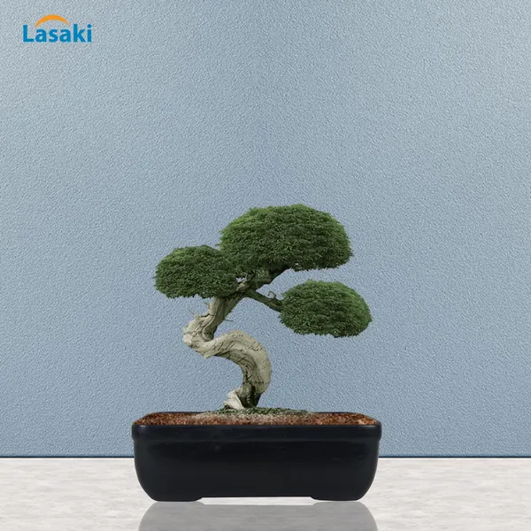 Rectangle_Black_Rec003_Ceramic_Pots_For_Indoor_Plants,Bonsai,Planters,Gamla,Outdoor,Balcony,Home,Garden,Office_Decor,Succulent(L_-_20_X_W_-_13_X_H_-_6.5_Cm)