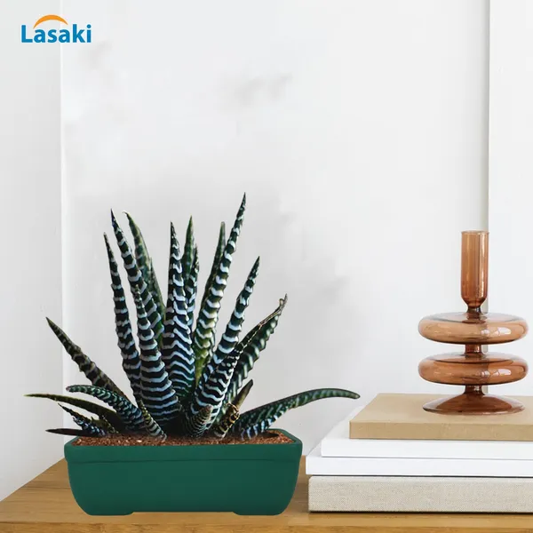 Rectangle_Deep_Jungle_Rec003_Ceramic_Pots_For_Indoor_Plants,Bonsai,Planters,Gamla,Outdoor,Balcony,Home,Garden,Office_Decor,Succulent(L_-_20_X_W_-_13_X_H_-_6.5_Cm)