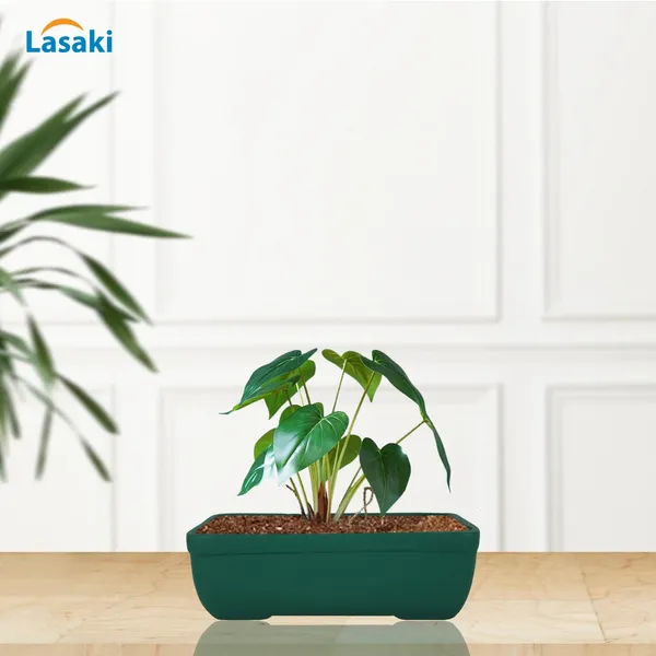 Rectangle_Deep_Jungle_Rec003_Ceramic_Pots_For_Indoor_Plants,Bonsai,Planters,Gamla,Outdoor,Balcony,Home,Garden,Office_Decor,Succulent(L_-_20_X_W_-_13_X_H_-_6.5_Cm)