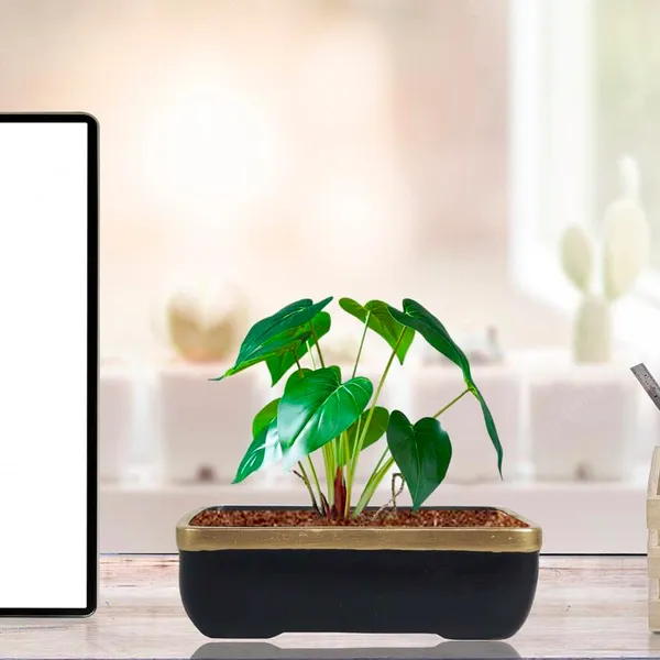 Rectangle_Black_Gold_Rec003_Ceramic_Pots_For_Indoor_Plants,Bonsai,Planters,Gamla,Outdoor,Balcony,Home,Garden,Office_Decor,Succulent(L_-_20_X_W_-_13_X_H_-_6.5_Cm)