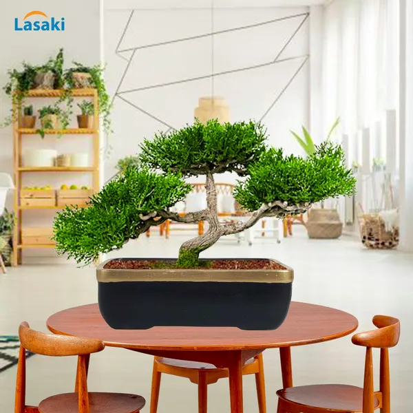 Rectangle_Black_Gold_Rec003_Ceramic_Pots_For_Indoor_Plants,Bonsai,Planters,Gamla,Outdoor,Balcony,Home,Garden,Office_Decor,Succulent(L_-_20_X_W_-_13_X_H_-_6.5_Cm)