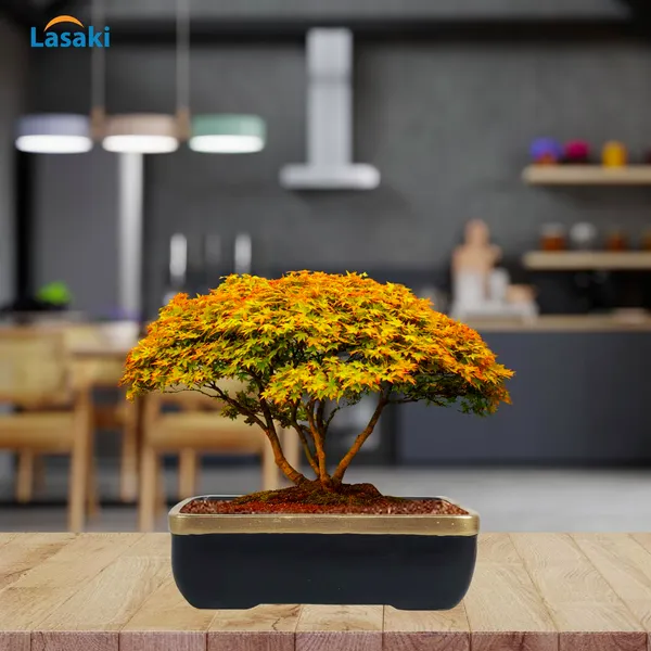 Rectangle_Black_Gold_Rec003_Ceramic_Pots_For_Indoor_Plants,Bonsai,Planters,Gamla,Outdoor,Balcony,Home,Garden,Office_Decor,Succulent(L_-_20_X_W_-_13_X_H_-_6.5_Cm)