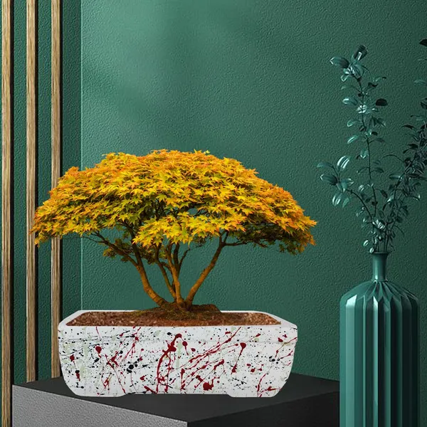 Rectangle_Multi_Rec003_Ceramic_Pots_For_Indoor_Plants,Bonsai,Planters,Gamla,Outdoor,Balcony,Home,Garden,Office_Decor,Succulent(L_-_20_X_W_-_13_X_H_-_6.5_Cm)