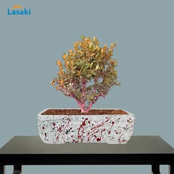 Rectangle_Multi_Rec003_Ceramic_Pots_For_Indoor_Plants,Bonsai,Planters,Gamla,Outdoor,Balcony,Home,Garden,Office_Decor,Succulent(L_-_20_X_W_-_13_X_H_-_6.5_Cm)