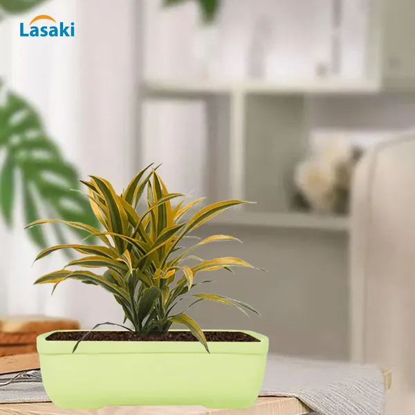Rectangle_Mint_Rec002_Ceramic_Pots_For_Indoor_Plants,Bonsai,Planters,Gamla,Outdoor,Balcony,Home,Garden,Office_Decor,Succulent(L_-_26_X_W_-_18.5_X_H_-_7_Cm)