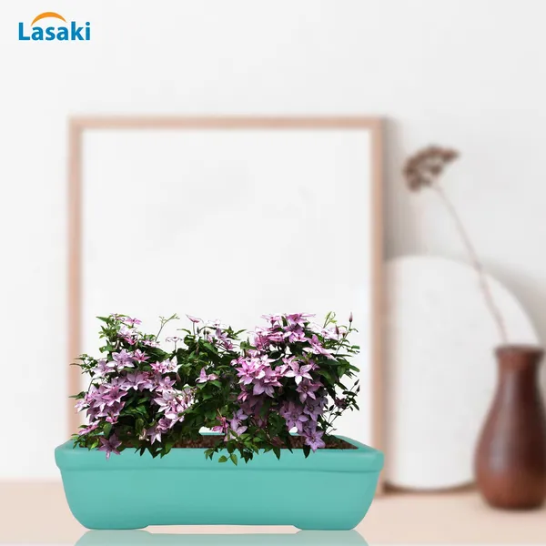 Rectangle_Aqua_Rec002_Ceramic_Pots_For_Indoor_Plants,Bonsai,Planters,Gamla,Outdoor,Balcony,Home,Garden,Office_Decor,Succulent(L_-_26_X_W_-_18.5_X_H_-_7_Cm)
