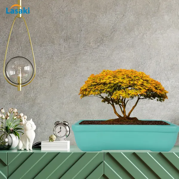 Rectangle_Aqua_Rec002_Ceramic_Pots_For_Indoor_Plants,Bonsai,Planters,Gamla,Outdoor,Balcony,Home,Garden,Office_Decor,Succulent(L_-_26_X_W_-_18.5_X_H_-_7_Cm)