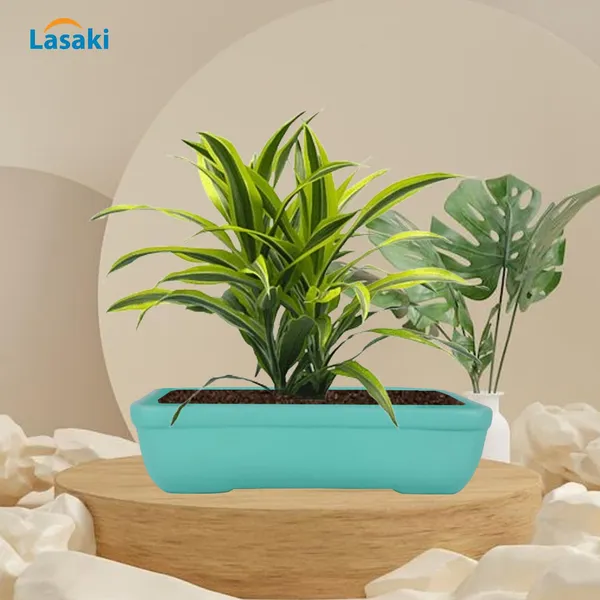 Rectangle_Aqua_Rec002_Ceramic_Pots_For_Indoor_Plants,Bonsai,Planters,Gamla,Outdoor,Balcony,Home,Garden,Office_Decor,Succulent(L_-_26_X_W_-_18.5_X_H_-_7_Cm)